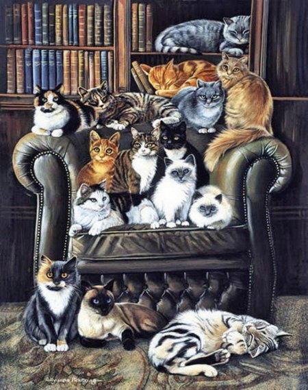 Картина много котов