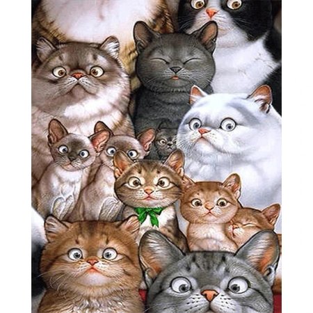 Макото мурамацу