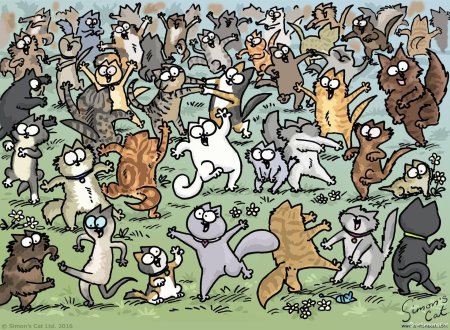 Кот саймона