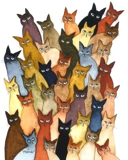 Много котиков