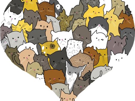 Котики много котиков