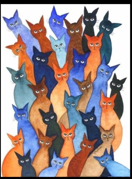 Котики много котиков