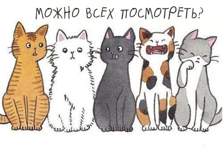 Котиков рисунки