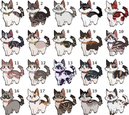 Коты воители окрасы адопты