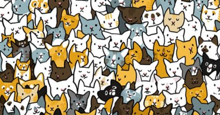 Много котиков