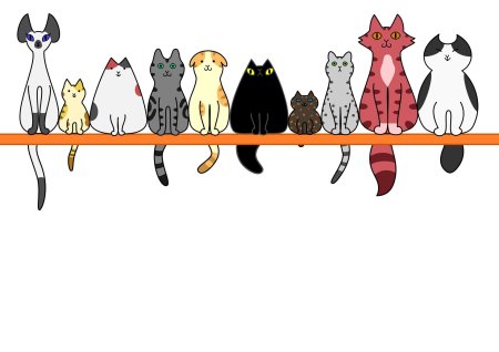 Котики сидят в ряд