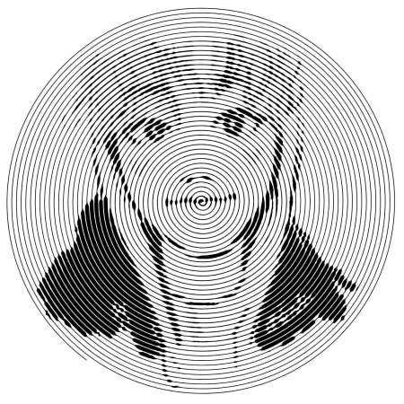 Spiroglyphics геншин