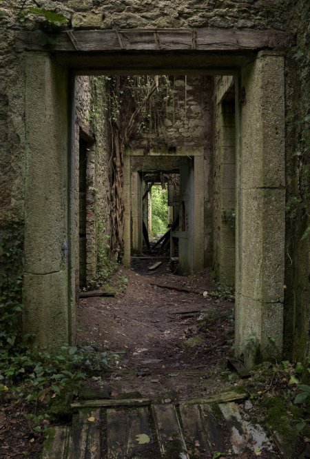 Руины заброшенного замка всеволожск