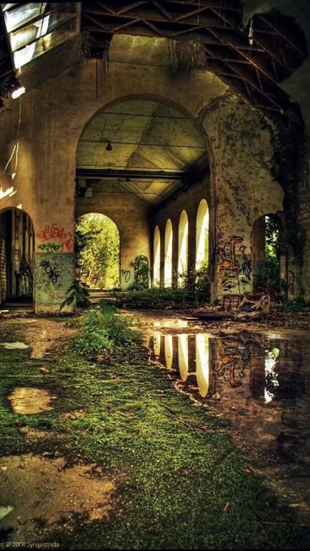 Развалины храма плющ эстетика