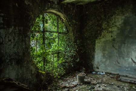 Тёмное заброшенное место