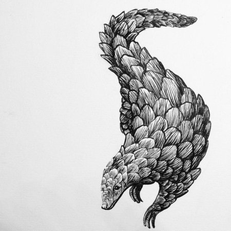 Животные эскизы