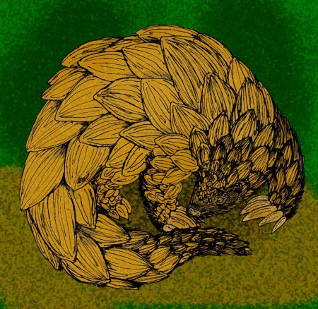 Панголин дота