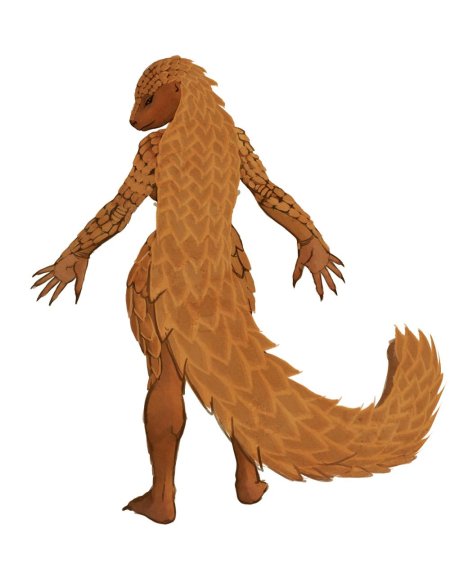 Hattonslayden рептилии