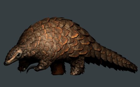 Гигантский ящер панголин