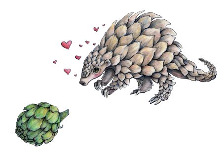 Панголин рисунок