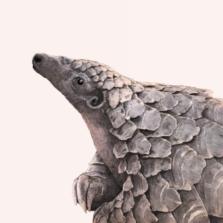 Гигантский панголин