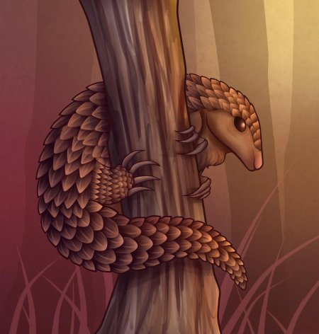 Животные иллюстрации