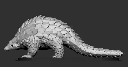 Giant pangolin