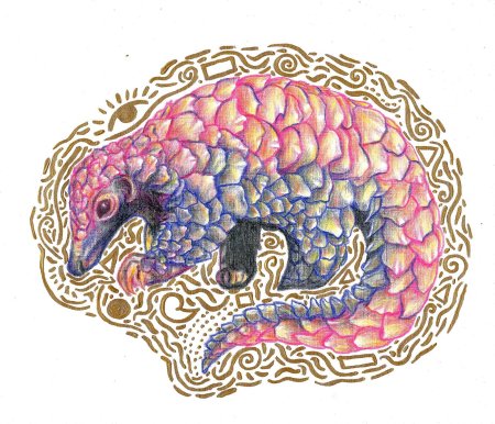 Панголин рисунок