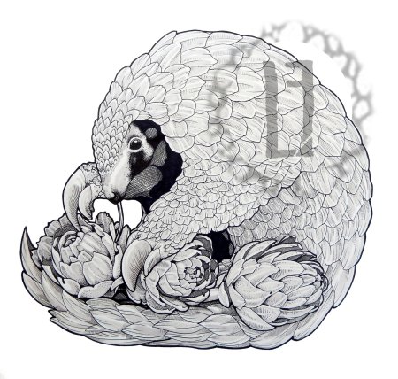 Эскиз животного