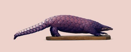 Китайский ящер панголин