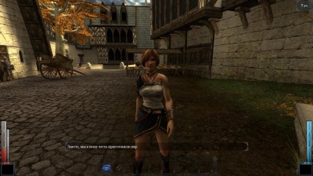 Dark messiah of might magic