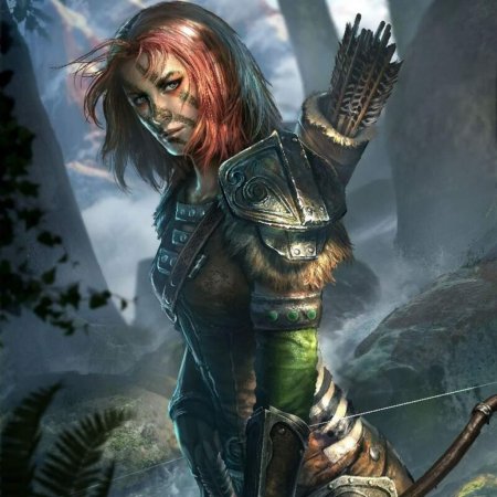 The elder scrolls босмеры