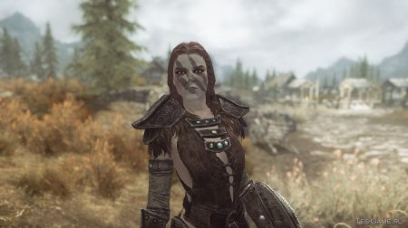 Скайрим соратники