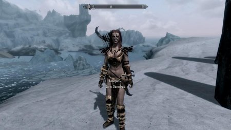 Скайрим изгои