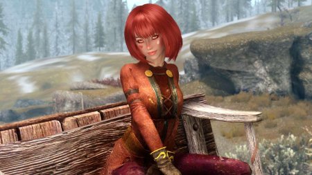 Скайрим норд компаньон рыжий