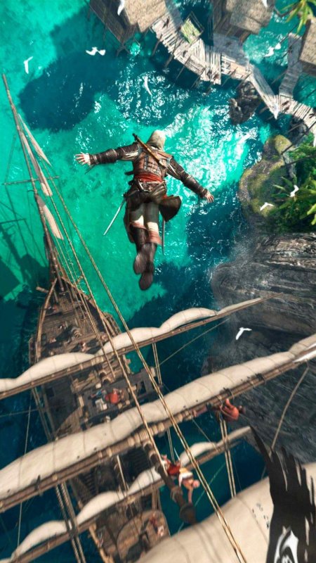 Assassin s creed iv: black flag