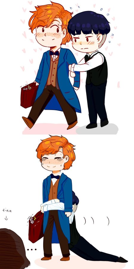 Ньют саламандер и криденс