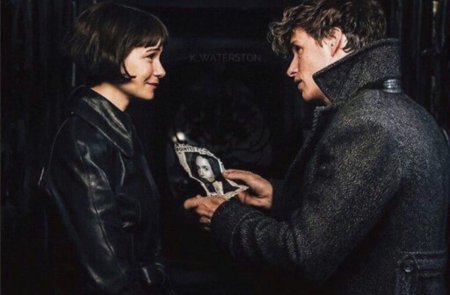 Ньют саламандер