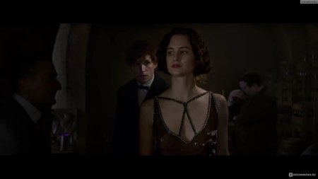 Фантастические твари и где они обитают fantastic beasts