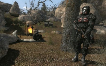 Долговец сталкер