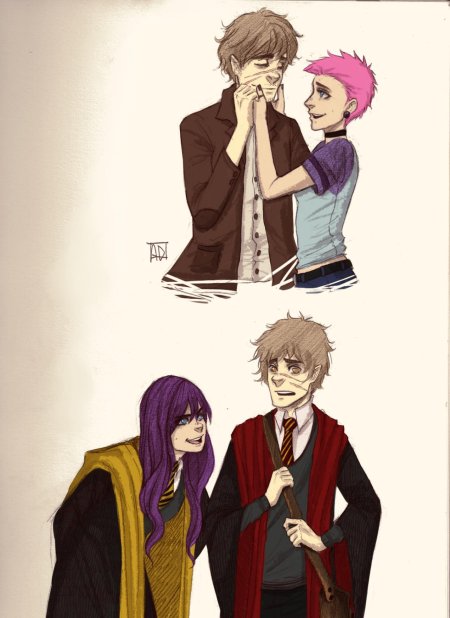 Люпин тонкс и тедди