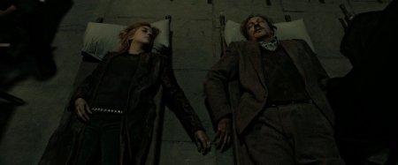 Гарри поттер люпин и тонкс