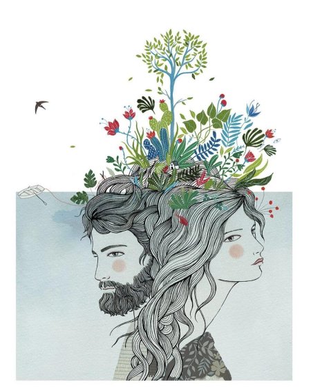 Художественные иллюстрации