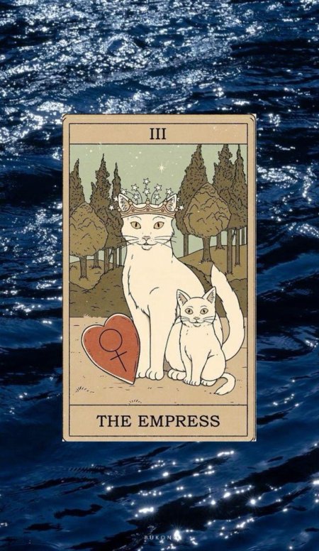 Thiago corrêa tarot