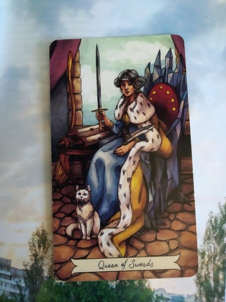 Королева мечей в таро