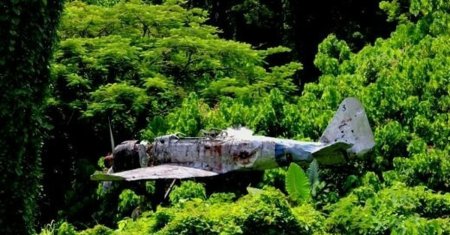 Самолет в джунглях камбоджи