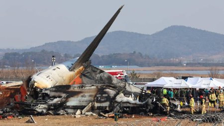 Южная корея авиакатастрофа