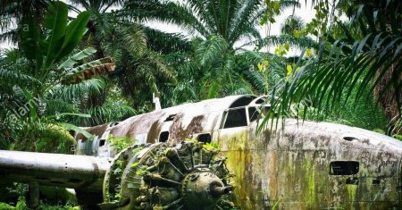 Lockheed ventura в джунглях