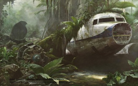 Crashed plane jungle