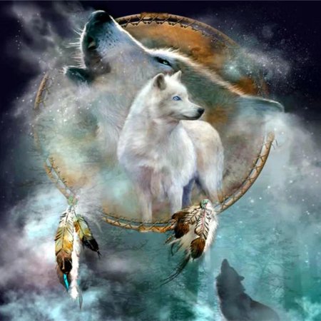 Кэрол каваларис картины ловец снов