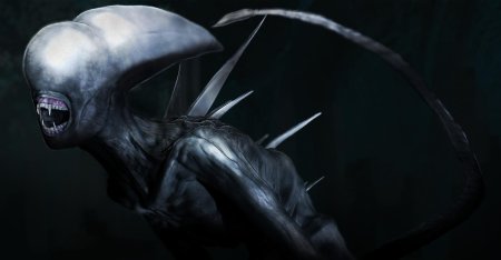 Неоморф чужой