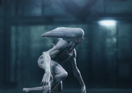 Чужой: завет неоморфы