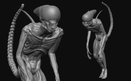 Неоморф чужой завет