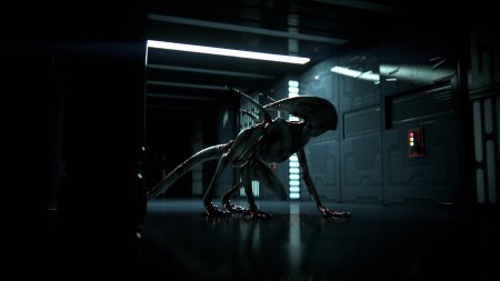 Alien isolation ксеноморф