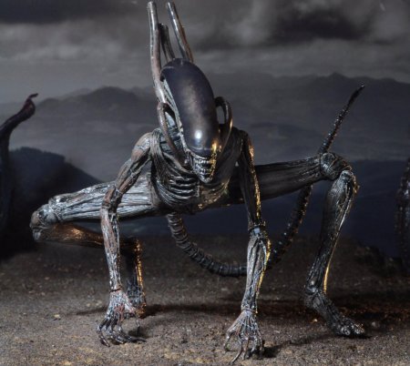 Фигурка ксеноморфа - (чужой завет) alien см